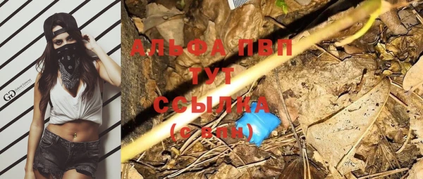 PSILOCYBIN Ахтубинск