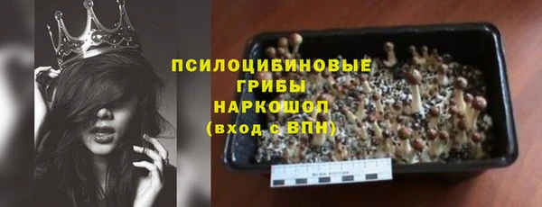 дживик Надым