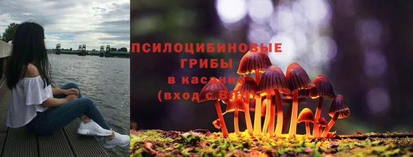 дмт Аша