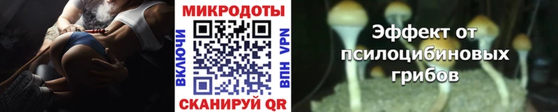 Галлюциногенные грибы Magic Shrooms Ярославль