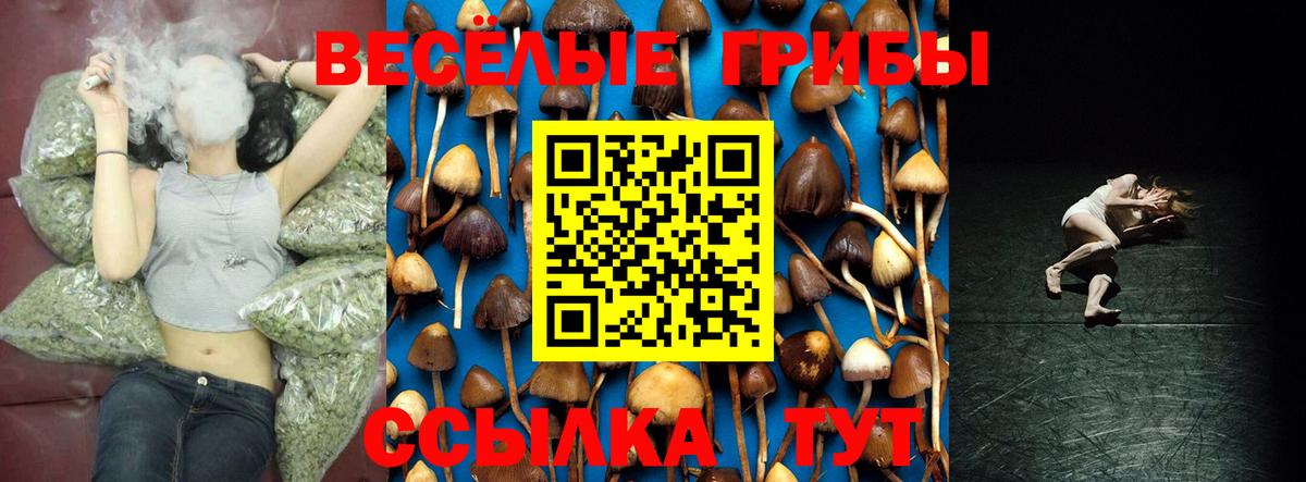Галлюциногенные грибы Psilocybine cubensis Ярославль