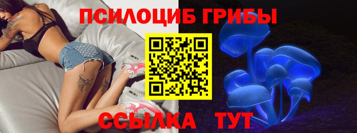 Ярославль  Псилоцибиновые грибы MAGIC MUSHROOMS  Вход с VPN  Галлюциногенные грибы MAGIC MUSHROOMS 