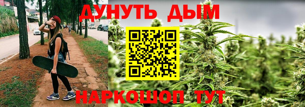 Каннабис SATIVA & INDICA Ярославль